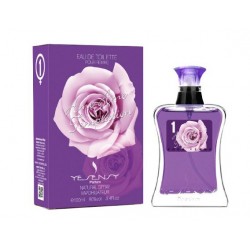 AME AME TEMPTATION Pour Femme Eau De Toilette Spray 100 ML