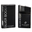 Silver Boost for men Eau de Toilette Spray 100 ML