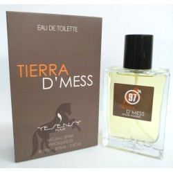 Tierra D'mess pour Homme Eau De Toilette 100 ML - Yesensy