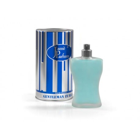 Gentleman in Blue For Men Eau De Toilette 100 ML - Jamè