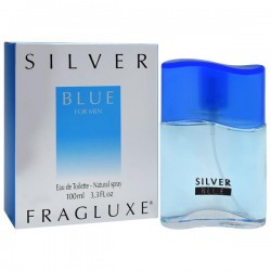 Silver blue Pour Homme Eau de Toiilette Spray 100 ml - Fragluxe